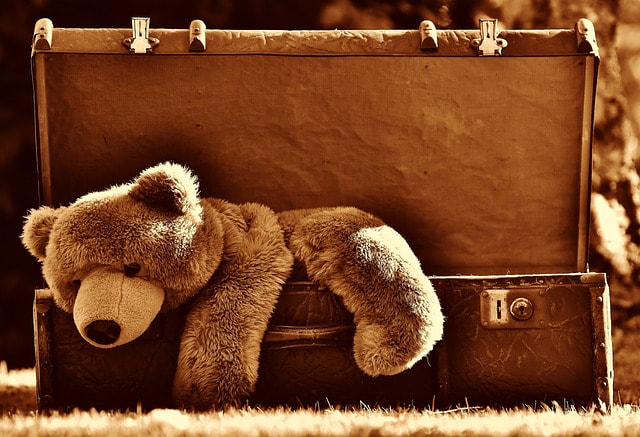 Teddy in a suitcase